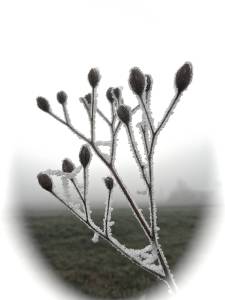 P1170160