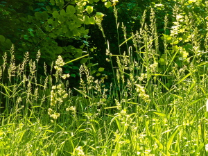 P1140453