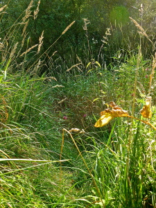 P1160193
