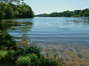 P1200574