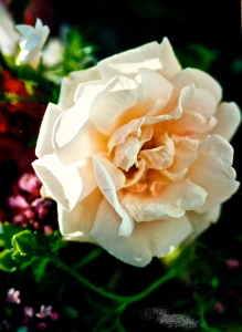 P1200750