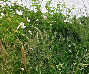 P1200977