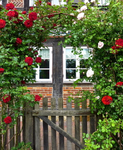 P1200991