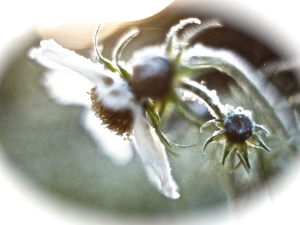 P1200753