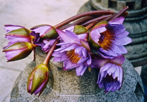 P1200806