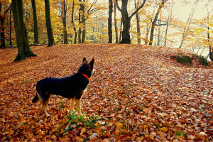 Oktober