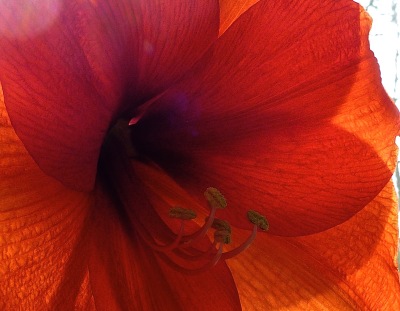 Liebe und Schönheit