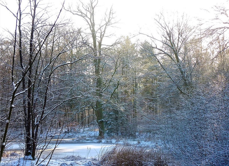 Winter