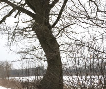 Spaziergang