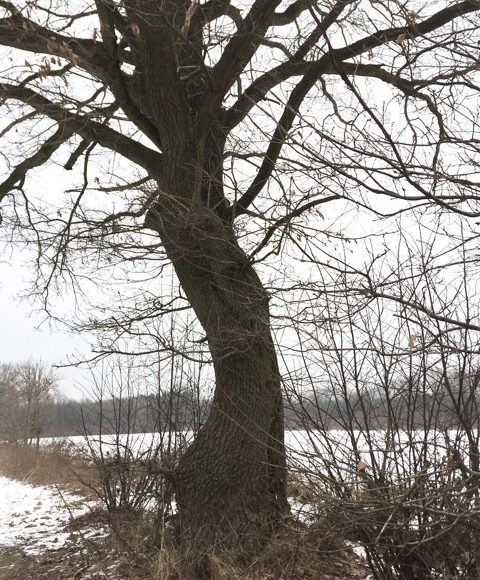 Spaziergang